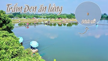 90. Kỹ thuật câu lửng cá Trắm Đen, trường hợp nào nên áp dụng ???