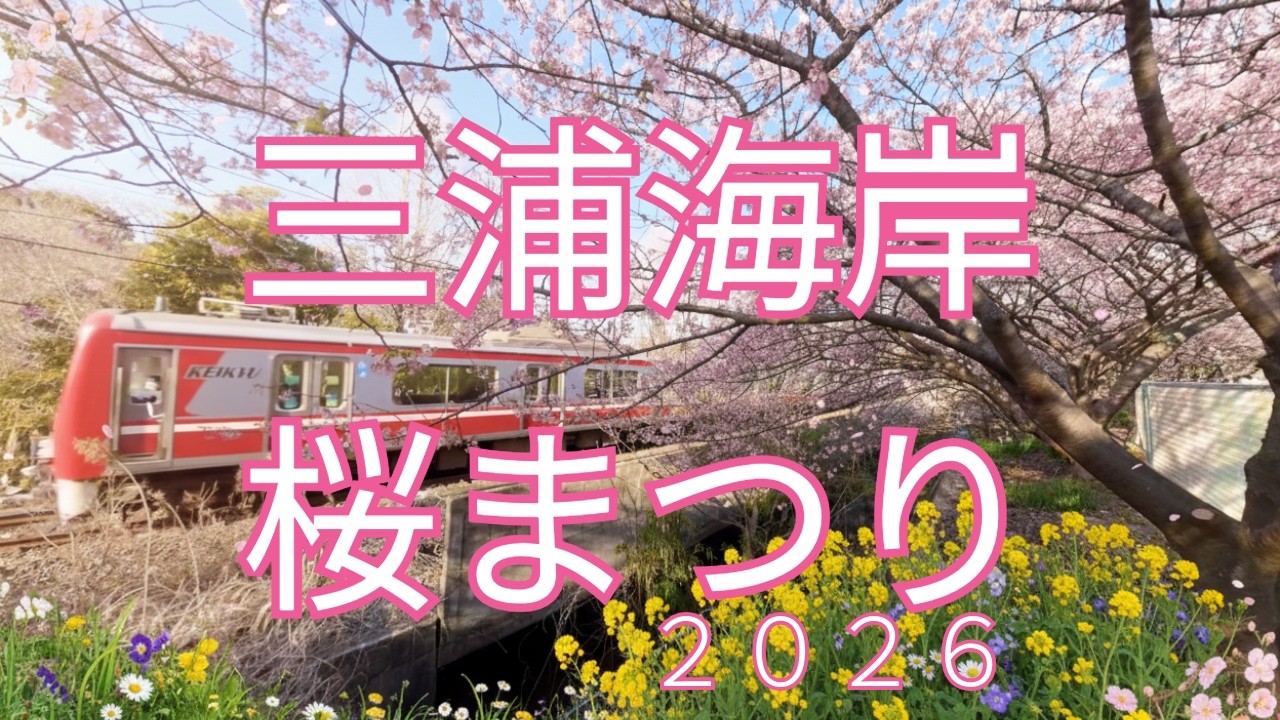 春はここから三浦から！　河津桜　京急　トロちまき　菜の花　坂道