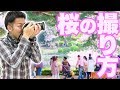 【初心者でも】桜がキレイに見える撮り方のコツを教えます【オート先生】