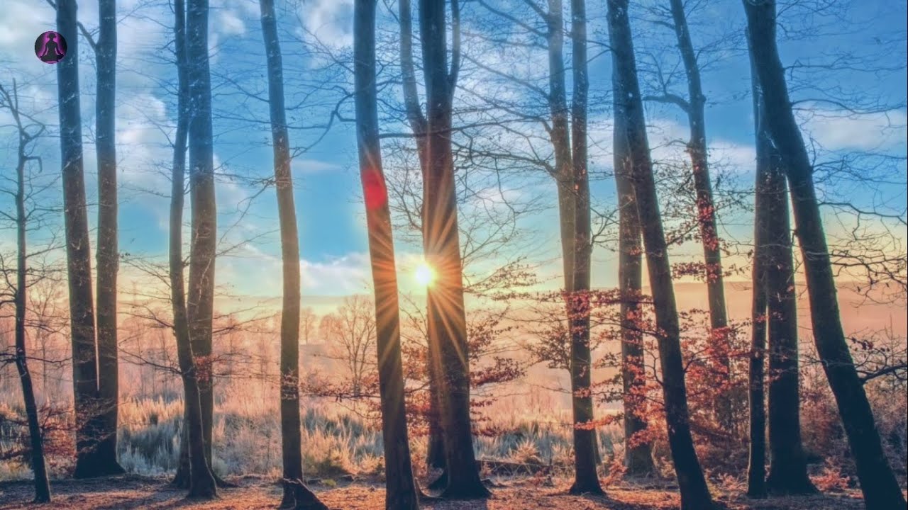 Melodious jazz guitar music | slow & fast beats | dual version | sleep & study music | stress relief