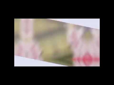 Edgy Shake + Negative Linebar tutorial capcut