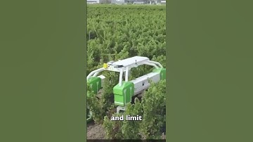 TED by Nyo Technologies | Electric Weeding for Vines