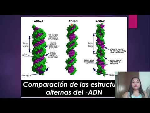TIPOS Y NIVELES