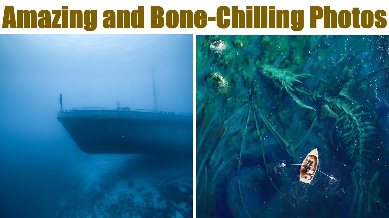 “My Palms Are So Sweaty”: Amazing and Bone-Chilling Photos That Will Trigger Thalassophobia