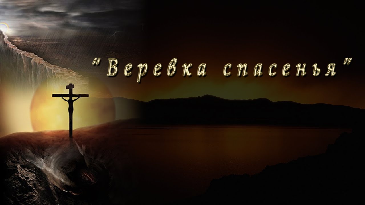 Добрая ромашка наталия лансере