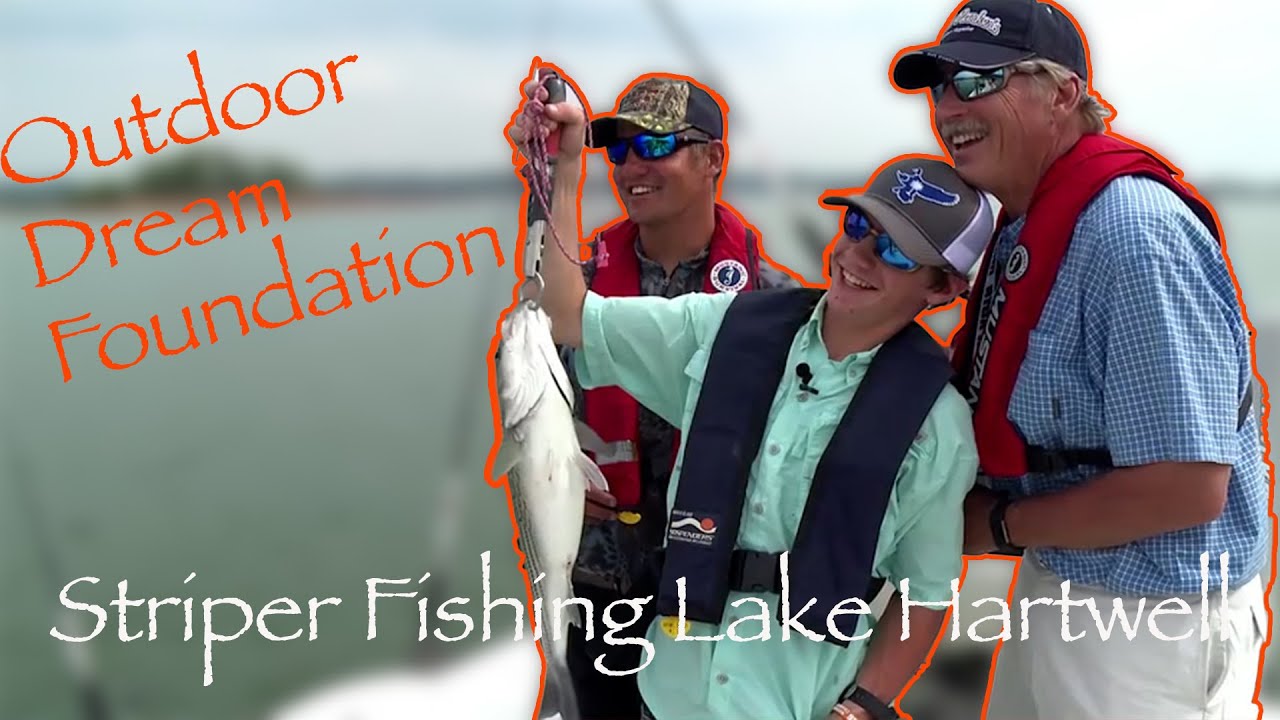 Striper Fishing Lake Hartwell! YouTube
