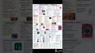 High-Yield KANSKI CH:7 Cornea #opthalmology #cornea #yt #education #eyes #neet #fmge #pg #fyp #mbbs