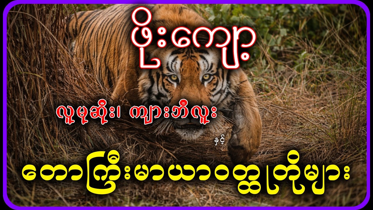 လူမုဆိုး၊ ကျားဘီလူး နှင့် တောကြီးမာယာဝတ္ထုတိုများ