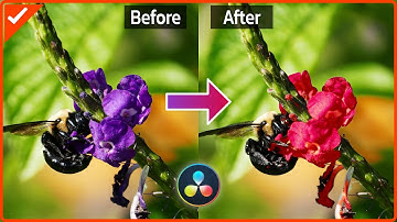 เปลี่ยนสีดอกไม้หรือวัตถุอื่นแบบง่ายๆ ด้วยเครื่องมือ Qualifier ในโปรแกรม Davinci Resolve 16