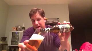 Goose Ilsland endless IPA