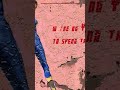 Fallout Vault 68 and 69