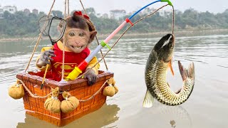 Monkey baby BonBO goes FISH OMELETTE Fishing and Swims with Ducklings in balloons by Animal Islands 632,235 views 2 months ago 28 minutes