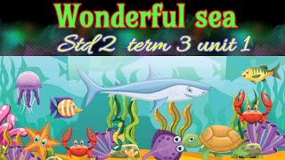 Wonderful sea/2nd standard /English/ term 3/ unit 1/ samacheer kalvi.