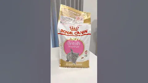 Video 10942381: royal british shorthair, kitten british shorthair face, royal canin kitten, catfood