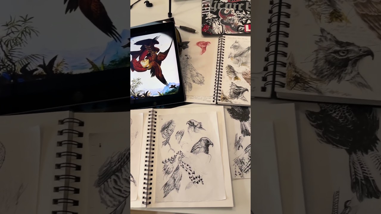 Drawing practice