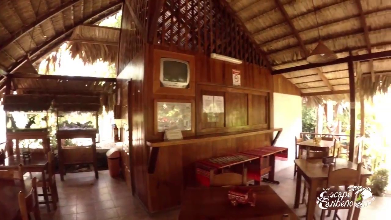 Cozy Hotel Escape Caribeño in Puerto Viejo, Costa Rica