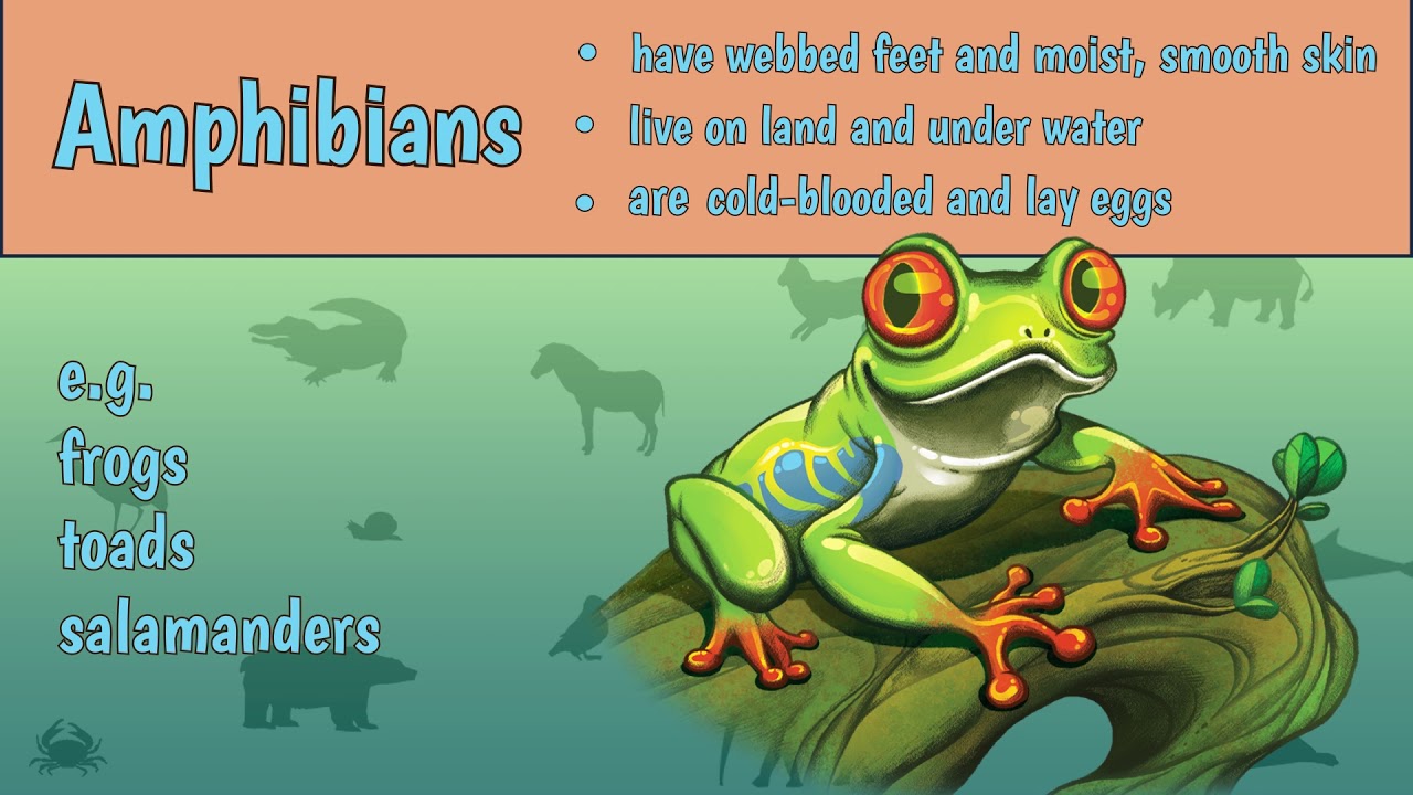 The Classification of Vertebrates