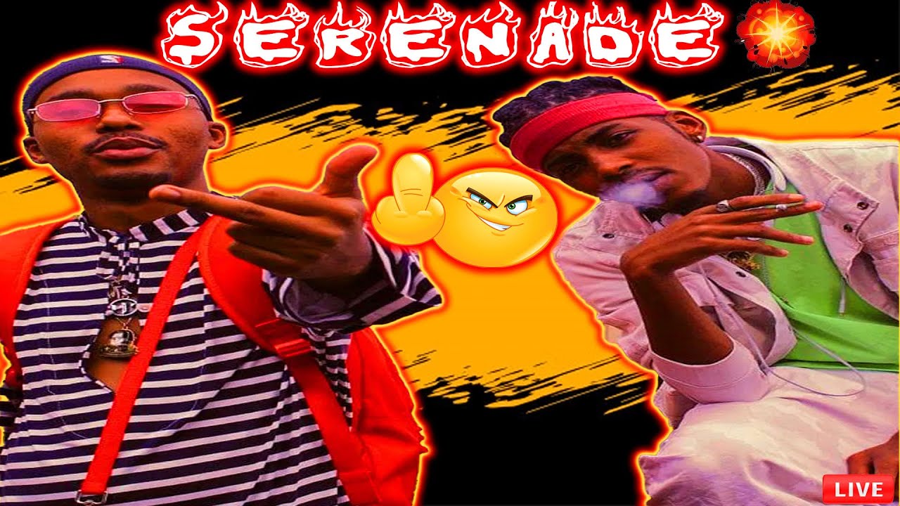 TREZSOOLITREACTS To FLVME - SERENADE (feat. ECCO) [Official Music Video)