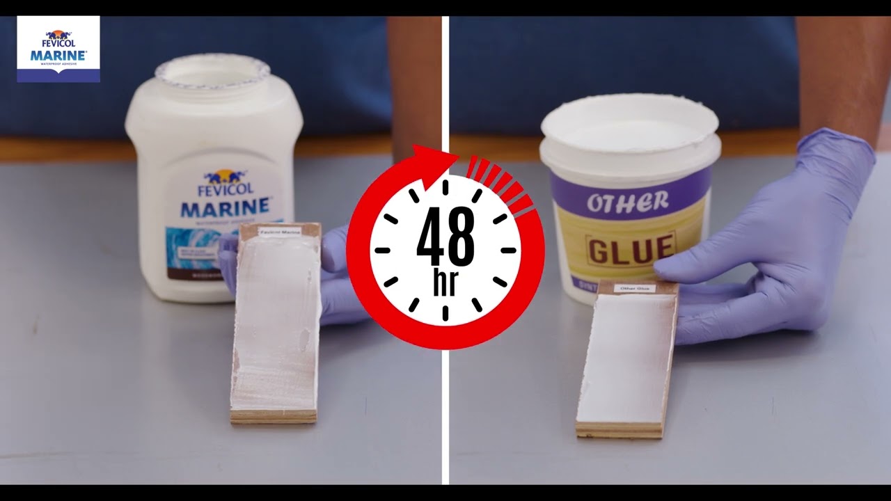 Fevicol Marine: The Exceptional Waterproof Adhesive Test on Ply!