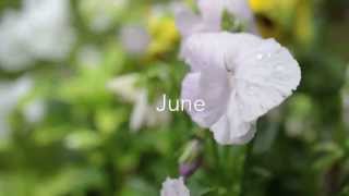 June