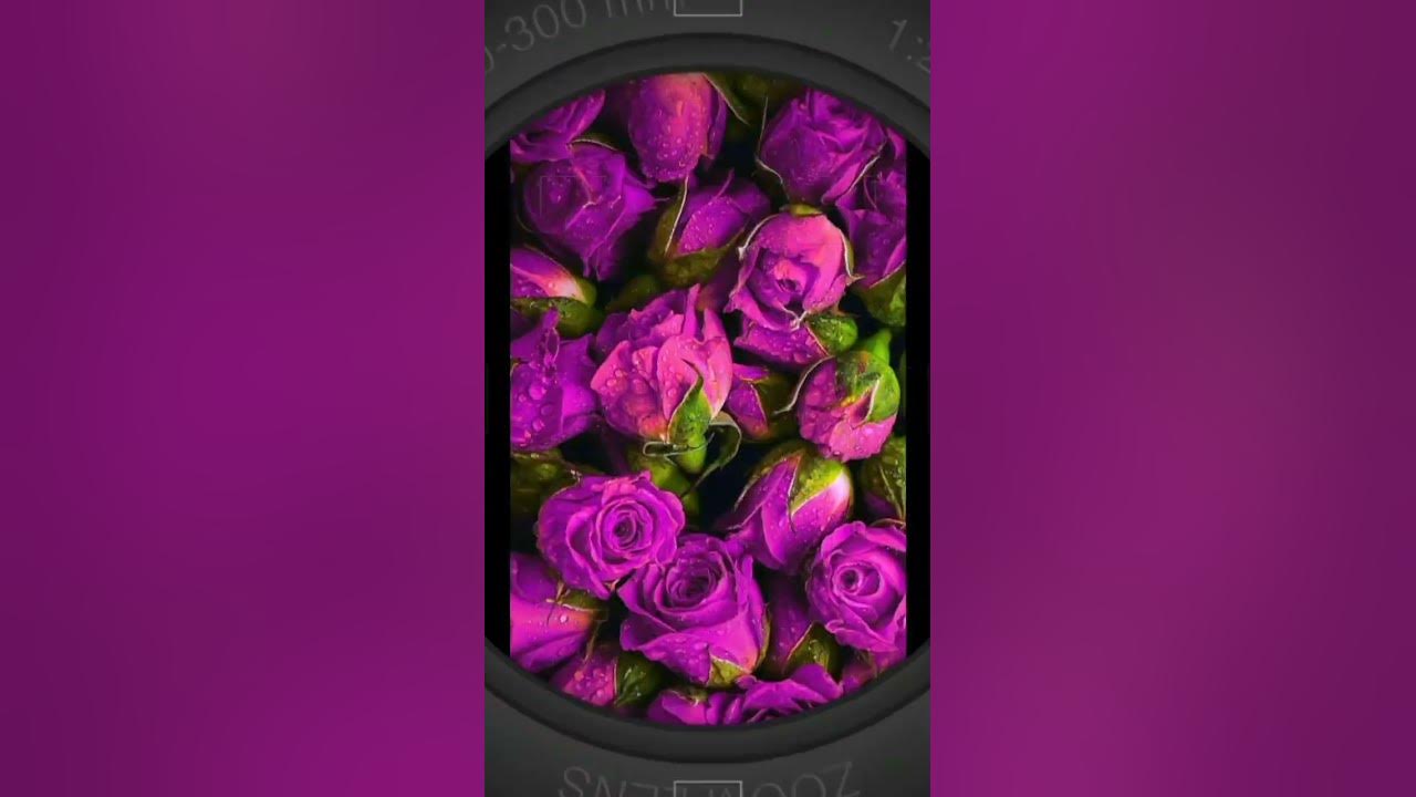 от сердца и почек дарю тебе цветочек - YouTube