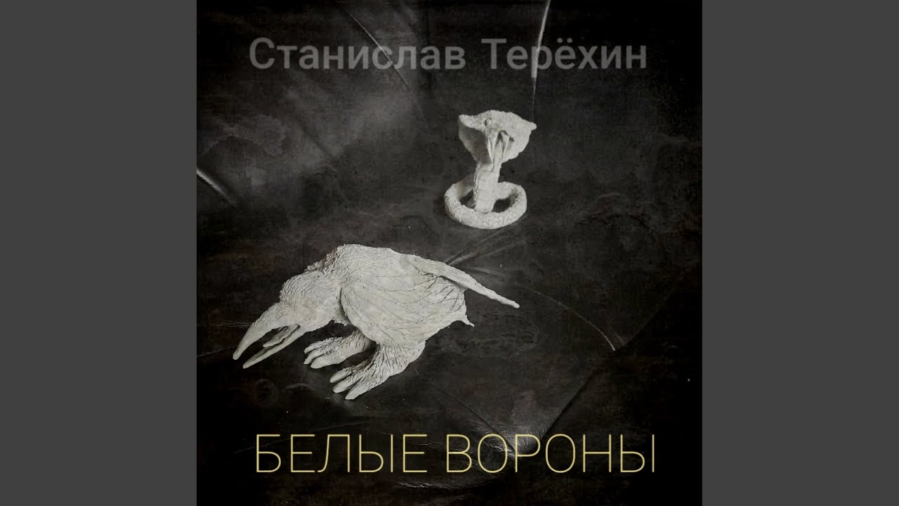 Белые вороны