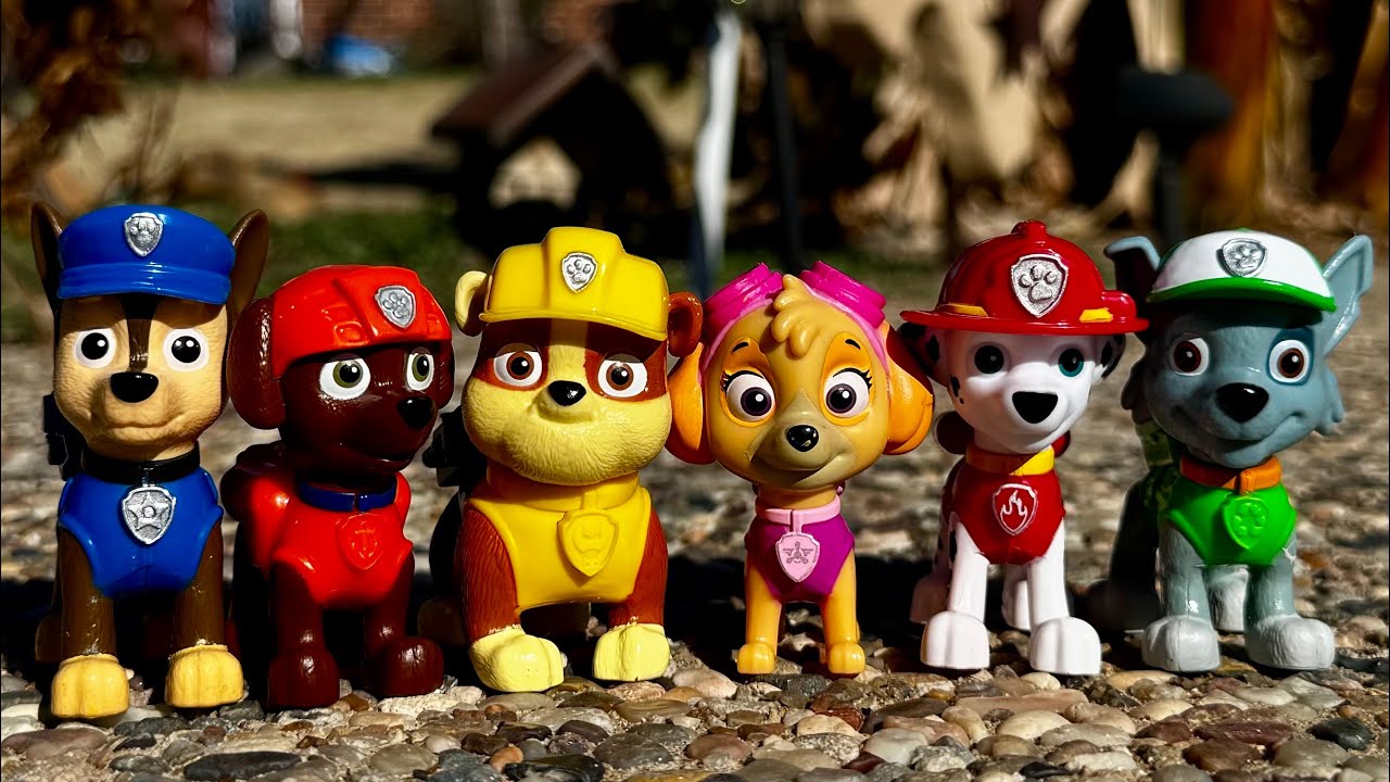 Paw Patrol Pups Play Hide and Seek - Paw Patrol Toys - YouTube