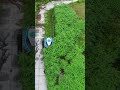 Remote Control Grass Cutter | Clear Garden Effortlessly  #actress #kitchen #automobile #gadgets