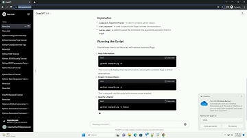 python command flags