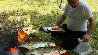 Cooking FISH in a pipe, Unusual cooking in nature by MEAT and SALT 641 views 1 month ago 11 minutes, 56 seconds