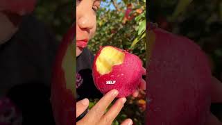 Discover 10 Incredible Benefits of Eating Apples! #shortvideo#shortsviral Discover 10 Incredible Benefits Of Apples