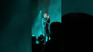 New Flowers ~ Tom Chaplin