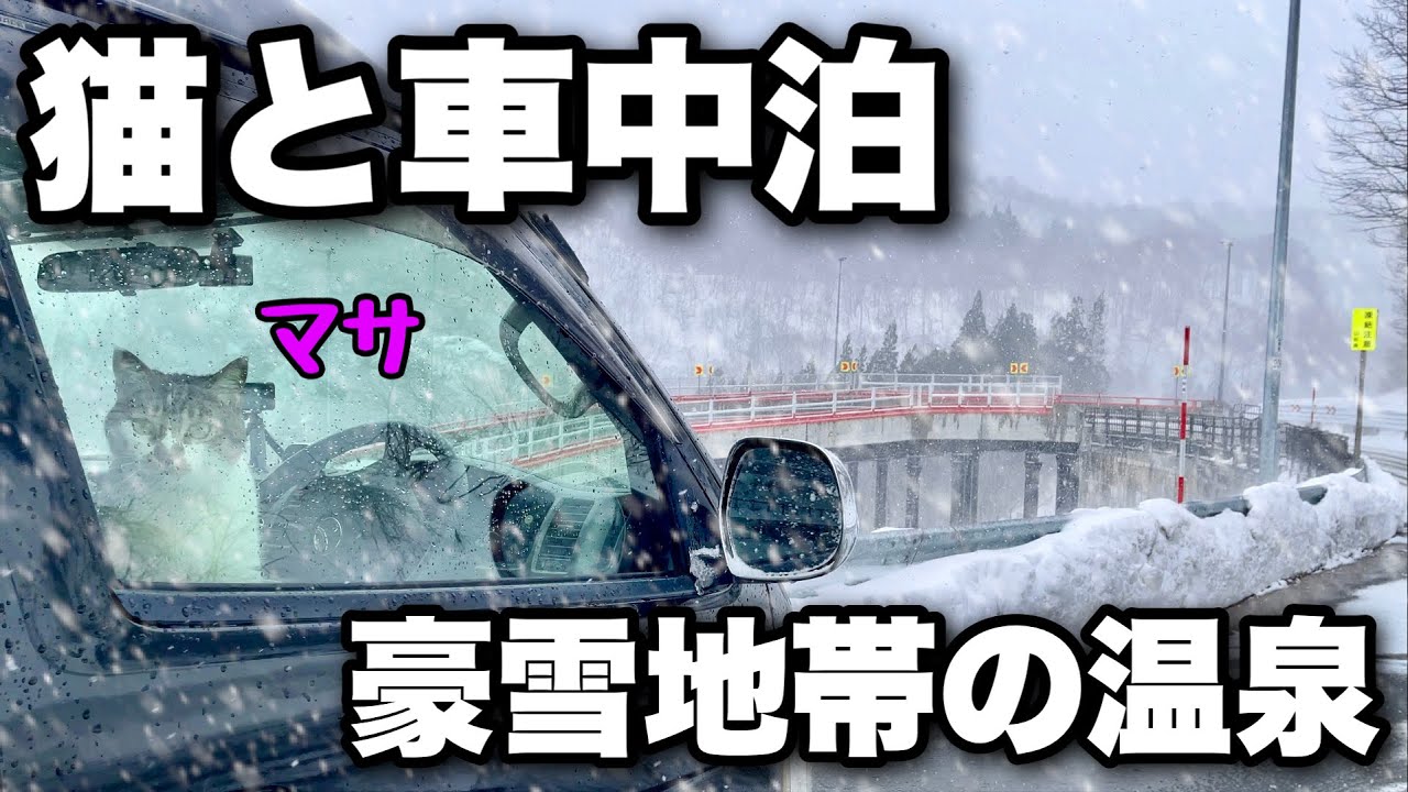 Зимний автомобильный поход с котом｜Горячие источники, известные обильными снегопадами
