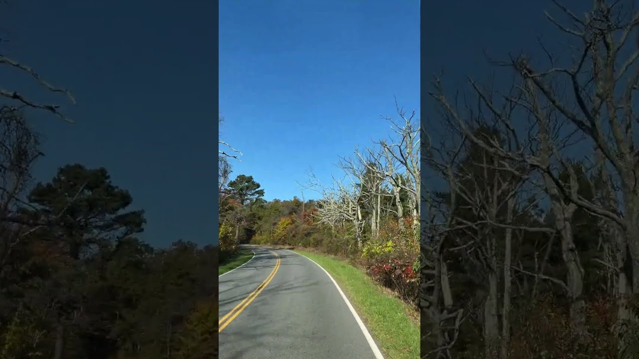 Take a ride with us on Skyline Drive!