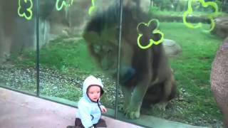 Нападения животных на человека  Сборник 2015