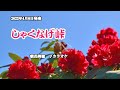 『しゃくなげ峠』朝花美穂 カラオケ 2022年4月6日発売