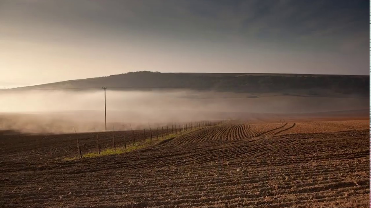 A Year on a Sussex Vineyard - Rathfinny Wine Estate