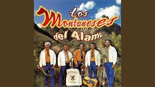 Video thumbnail of "Los Montañeses del Alamo - Saludamos A Texas"