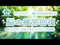 【528Hz・脳疲労回復】ソルフェジオ周波数を用いた自律神経を整える音楽。睡眠導入、ストレス緩和、疲労回復　＃脳の疲れを取る音楽＃自律神経を調整する音楽　＃ソルフェジオ周波数