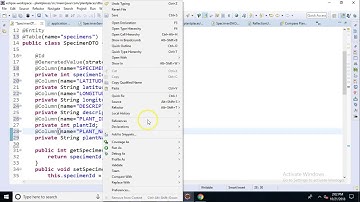 Map DTO to Table using @Column and @Table annotations