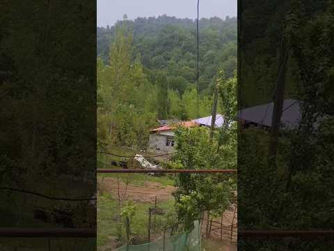 بارون میاد زمین نفس می کشه دلم آروم میگیره طبیعت زندگی آرام دل طبیعت روستا جایی که من زندگی می کنم