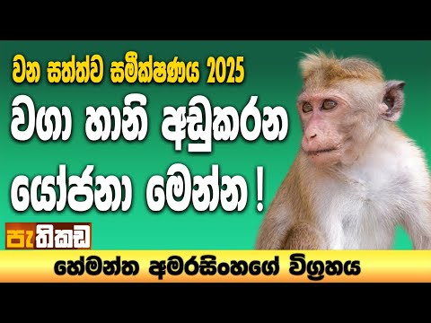 à¶´à·à¶§à·€à·Š à¶½à·€à· à¶´à·’à¶§à·’à¶šà·’à¶»à·’ à¶‹à·ƒà·Šà·ƒà¶± à¶»à·’à·…à·€à·Š!