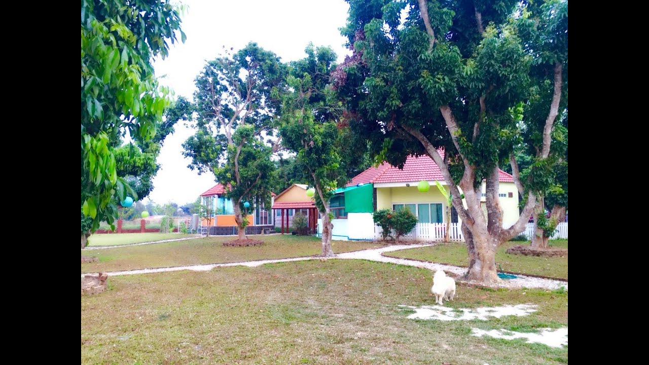 CR64164  ขายที่รีสอร์ท ร้างต. บ้านดู่ 2-0-50 ไร่ ขาย 6,900,000 บาท ใกล้สนามบิน