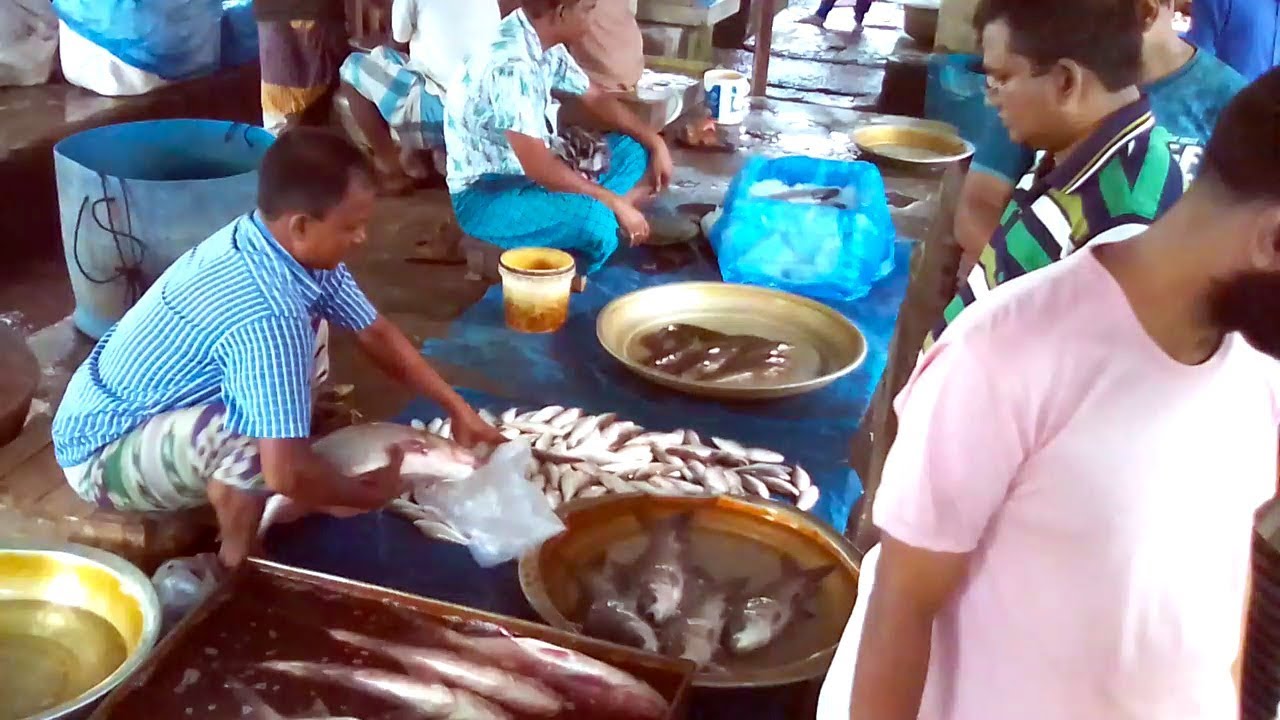 Incredible Alive Fish Market In Santahar Fish Market Live Fish Market