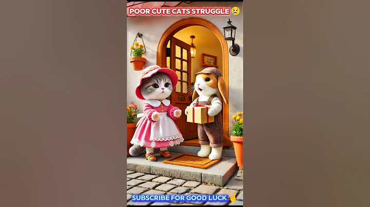 Video 5122651: cat dog funny compilation, cats compilation cute dogs, funny love kitten cute