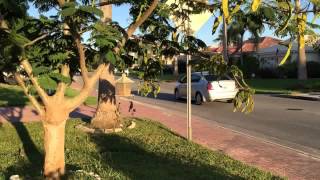 iPhone 6 Plus Optical Image Stabilization Test