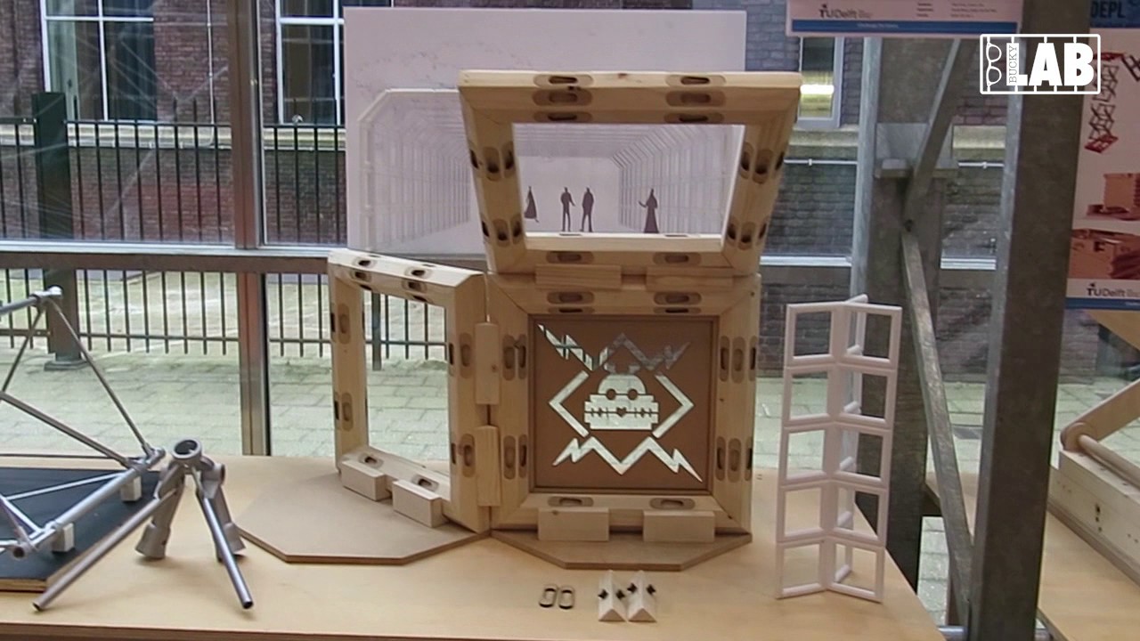 BuckyLab Expo Mojo Future Festivals