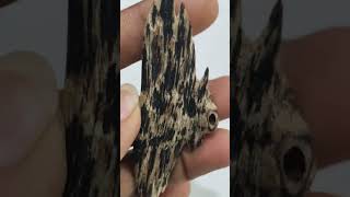 #agarwood #underwater #highquality #original #super #mal #india #bangladesh #qatar #iran #dubai #usa
