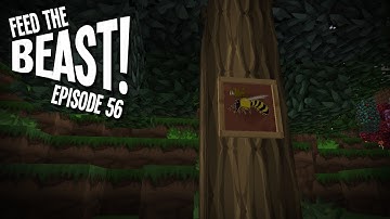 Feed The B-Team! Ep56 - "Bees Give Me Wood! Errr, Wait..." Feed The Beast Modpack