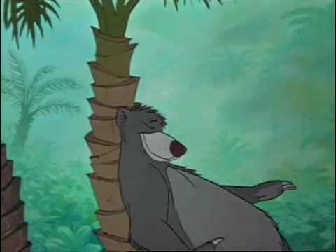 Балу медведь фото